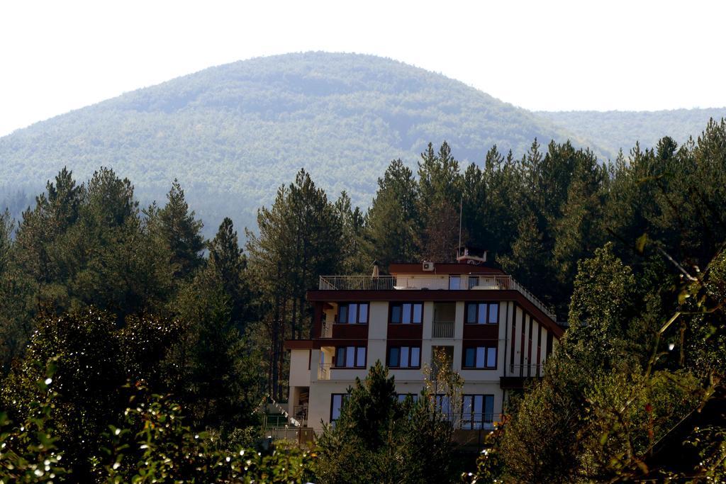 Mala Planina Guest House Iskrets Esterno foto